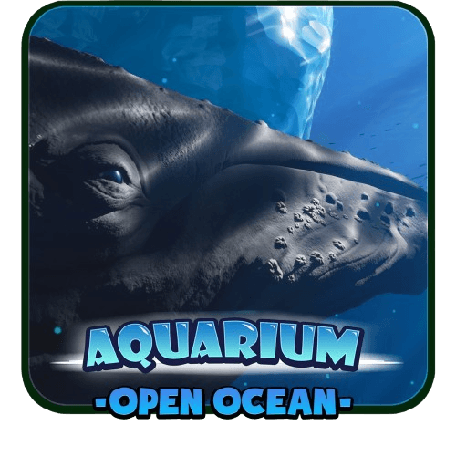 underwater experience