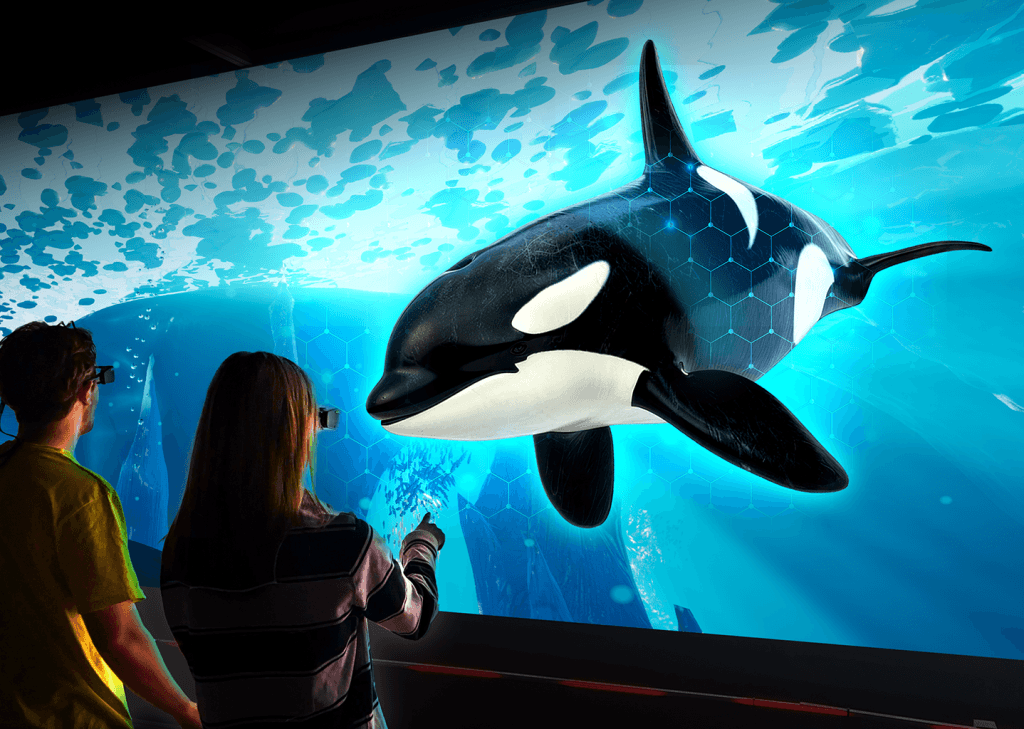 asia experience banner