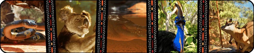 australia experience banner