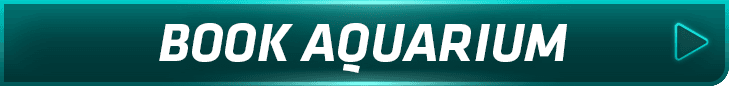 More Info Button